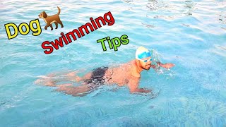 How to Learn dog Paddle🏊‍♂️  FREESTYLE DOGGY PADDLE  How to Learn Dog Style Swimming For Beginners [upl. by Airret811]