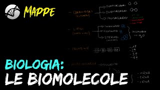 DIGESTIONE E ASSORBIMENTO DEI NUTRIENTI FACILE  Carboidrati proteine e lipidi  Funzioni enzimi [upl. by Reynolds]