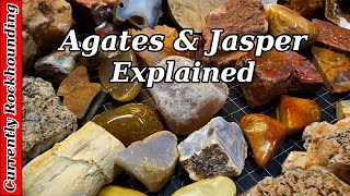 Agates amp Jasper  What Do You Really Know About Them [upl. by Weisburgh809]