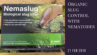 Organic Slug Control With Nematodes [upl. by Clarice]