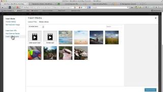 How to Add Video To WordPress Using JW Player Part 2 [upl. by Nosyrb]