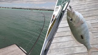 Ep13 Shore Casting at Pte Aux Cannonier Fishing in Mauritius [upl. by Carmencita]