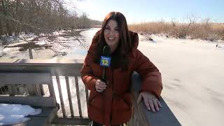 Take a winter walk with a river view at Wertheim National Wildlife Refuge [upl. by Rabin]