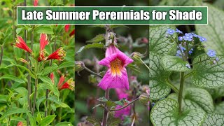 10 Late Summer Perennials for ShadePart Shade Garden Spot  August September Blooms [upl. by Nylknarf]