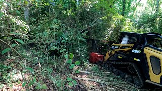 Forestry Mulching An Overgrown Backyard Creek [upl. by Azer360]