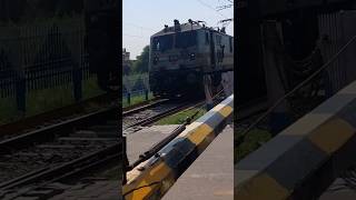 Train Horn Sound Effect Comparison Ludhiana WAP7 30651 and Tughlakabad WAP7 30335 hornsoundeffect [upl. by Aenaj]