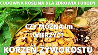 Korzeń żywokostu CZY MOŻNA im WIERZYĆ Cudowna roślina dla zdrowia i urody Nalewka gliceryt olej [upl. by Dean21]