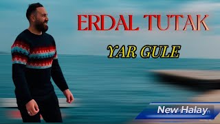 Erdal Tutak Yar Gule Yeni Halay 2024 [upl. by Annahsed549]