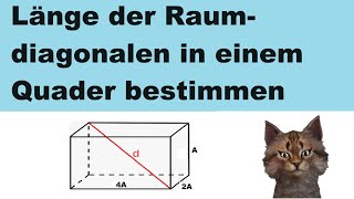 Länge der Raumdiagonalen in einem Quader bestimmen mit Buchstaben [upl. by Telimay]