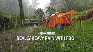 Solo Camping in Heavy Rain Camping in Rain Storm Relaxing Rain Sounds ASMR [upl. by Enomrej426]