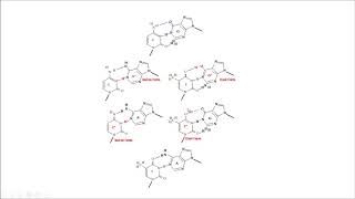 tautómeros tautomers replicación replication DNA structure estructura molecular biology biología [upl. by Megan]