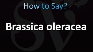 How to Pronounce Brassica oleracea correctly [upl. by Maynord]