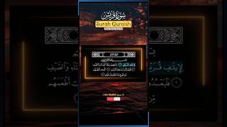 Surah Quraish  القرآن الکریم islamicshorts iammuslimانامسلم beautfulquran quransurah [upl. by Ennaej399]