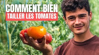 Comment bien tailler ses plants de Tomates [upl. by Mallissa438]