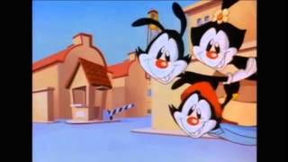 Animaniacs  Intro Romanian [upl. by Adaner]