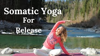 15 Minute Morning Somatic Yoga I Somatic Movement for Beginners [upl. by Oicnecserc505]