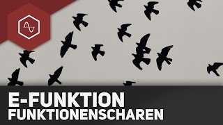 Funktionsscharen bei eFunktionen [upl. by Casie]