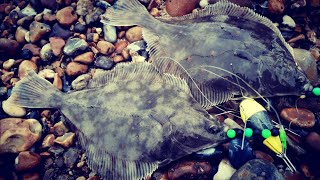 FISHING FOR PLAICE ON EASTBOURNE BEACH  DAY FISHING  HOW TO CATCH PLAICE UK SEA FISHING [upl. by Wallack]