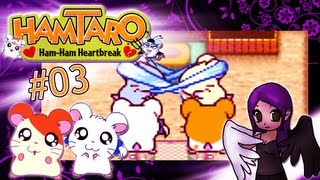 Lets Play Hamtaro HanHam Herzschmerz Part 3 Rubli hier rubli da [upl. by Hamford]