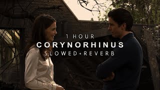 Batman Begins  Corynorhinus  1 HOUR  Slowed  Reverb [upl. by Imalda]