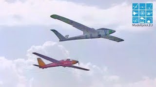 ARCUS VTAIL EDF IMPELLER JET ROBBE VEGAS PNP HOTLINER RC GLIDERS STAUFENBIEL AIRSHOW FLIGHT [upl. by Kramlich]