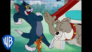 Tom y Jerry en Español  La noche divertida  WB Kids [upl. by Marjorie]