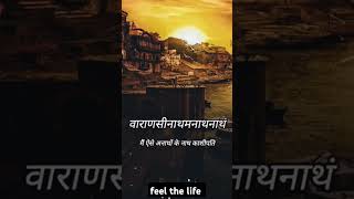 Sanand Manand Vane Vasantam Full Song  sanand manand vane vasantam kashi vishwanath [upl. by Aisital]