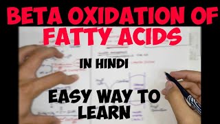 BetaOxidation of Fatty Acids in hindi  Lipid Metabolism  Biochemistry [upl. by Shana]