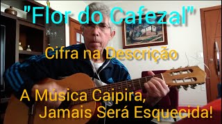 Flor do Cafezal  Letra Cifrada  Música Legendada [upl. by Aicinet186]