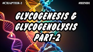 Chapter 2  Metabolism Of Carbohydrates Part9  Glycogenesis amp Glycogenolysis 2 [upl. by Jude]