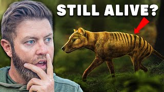 Why I Believe The Tasmanian Tiger Is Still Alive [upl. by Elladine]