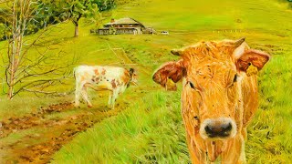 Cow Upside Down Pastel Drawing Timelapse [upl. by Sagerman]