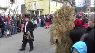 Narrentreffen in Hausach 2014 [upl. by Hsirap216]