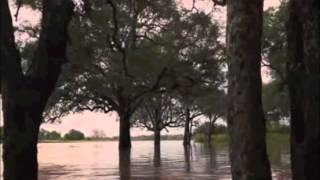 Luangwa River Camp  Luangwa River Safari  Zambia  Expert Africa [upl. by Laro603]