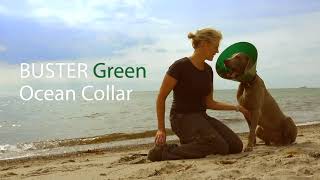 BUSTER Green Ocean Collar [upl. by Boudreaux768]