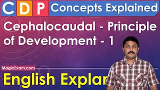 Cephalocaudal Principle of Development CDP Concepts English Explanation [upl. by Stonwin929]