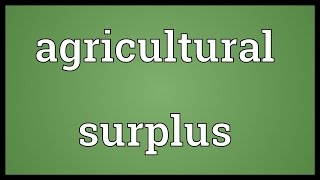 Agricultural surplus Meaning [upl. by Dolan]