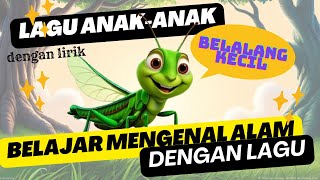 Belalang Kecil [upl. by Allevon]