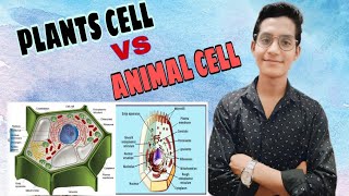 PLANT CELL AND ANIMAL CELL  में अंत with digram [upl. by Ecirted]