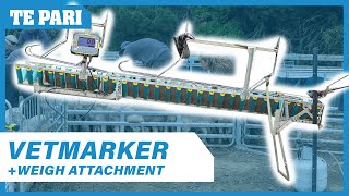 Vetmarker Lamb Chute  Weigh Attachment [upl. by Anirda]