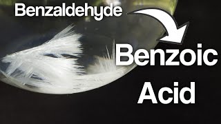 Synthesis of Benzoic acid from Benzaldehyde [upl. by Abie751]