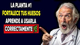 ¡DESCUBIERTA La PLANTA 1 que FORTALECE tus HUESOS APRENDE a USARLA CORRECTAMENTE 🌿 [upl. by Sierra61]