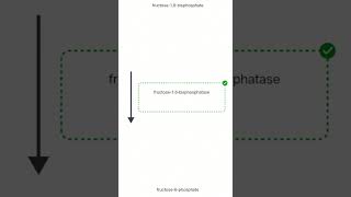 fructose 16 bisphosphate [upl. by Hekking]