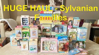 Huge Haul Vintage and New  Sylvanian Families Calico Critters Part 3 Haul [upl. by Danyluk188]