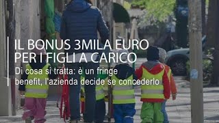 Bonus 3mila euro per i figli a carico come funziona il fringe benefit [upl. by Haisa983]