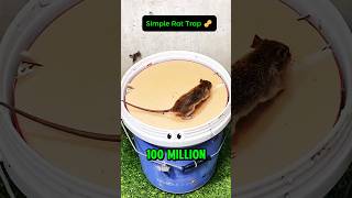 How this simple rat trap got 100 million views 🐀🪣 [upl. by Raimund282]