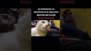 Soy ese memes humor shorts reels MarjoseGT [upl. by Ferdinande723]