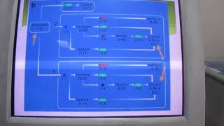 Biophotvoltaics with Cyanobacteria  Eduardo Gorron [upl. by Ehcsrop]