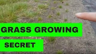 The Secret to Growing Grass without Irrigation [upl. by Ober]