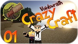 MINECRAFT  CRAZY CRAFT 01   AMEISEN AUS DER HÖLLE  Deutsch HD [upl. by Annaehs]